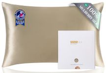 ZIMASILK 100% Mulberry Silk Pillowcase for Hair and Skin,Both Side 19 Momme Silk, 1pc (Queen 20''x30'', Taupe),Gift Box by ZIMASILK