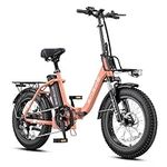 ENGWE 1125W Electric Bike for Adult