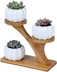 3pcs Pumpkin Succulent Pots Bamboo Wood Shelf Flower Pot Stand Holder, Modern Minimalist White Ceramic Succulent Planter Pot for Office, Desk, House Balcony（Flower Pot Not Included）