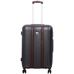 Tommy Hilfiger Plastic Hard 55 cms Luggage (8903496176964_Grey)