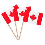 100 Pcs Canada Toothpick Flag Toothpicks Flags for Cocktail and Cake Decoration at Parties Celebrations and Sports Events