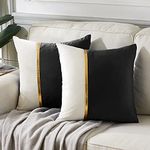 Fancy Homi 2 Packs Black Decorative