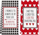 Valentine's Day Gifts for Women Men Couple, 2 Pack Funny Kitchen Towels for Couples, Novelty Bathroom Hand Towels, Anniversary Birthday Gifts for Boyfriend Girlfriend Husband Wife Him Her (Promise)