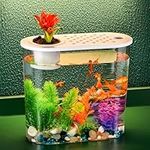 Desktop Mini Fish Tank Kit, Desk Fish Tank with Lid, Small Fish Tank Comes with Aquarium Decor Stones and 6 Pieces Watergrass Decorations for Living Room, Office Desktop 2 Gallon Fish Tank