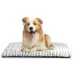 Cordless Heating Pad For Pets