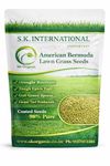SK ORGANIC American Bermuda Lawn Grass Seeds fr Garden and Parks (1kg)