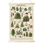 A Tree Posters