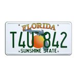 2 Fast 2 Furious | T4U 842 | Metal Stamped License Plate