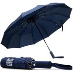 TANNESS Windproof Umbrella – 10-Rib Waterproof & Compact with Automatic Open/Close Function and Ergonomic Handle – Folding Mini - Strong for Wind and Rain (Blue)