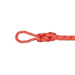 Mammut 9.5 Gym Classic Rope - Raspberry/White 40m