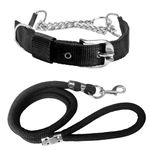 YOUNIQUE MERCHANDISE Dog Stainless Steel Half Chain Collar With Comfortable Rope Leash Comfortable For Walking Running Training Size -0.75 Inch (Small, Black)