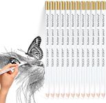 12 Pcs Highlight Eraser Pencil for 