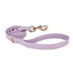 Petiry Soft Corduroy Fibric Dog Leash, 5 Feet Length Lead with Heavy Duty Rotating Hook, for Medium Large Dogs.(M,Purple)