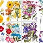 148PCS Real Nature Dried Pressed Flowers for Resin Mold, Dry Pressing Floral with Butterfly Transparent Stickers Set for DIY Jewelry Making Nail Card Scrapbook Art Craft Decors Romantic Road