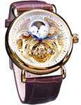 FORSINING Luxury Men's Watch with Moon Phase & Tourbillon, Retro Skeleton Hollow Self-wind Mechanical Wristwatch, Leather Belt Automatic Movement Men Watches, gold white, Mechanical