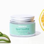 WildMint Spot Soothe Natural Spot Treatment Gel | Reduces Breakouts, Scars & Irritation | Tea Tree Healing Serum for Acne Prone Skin, Blemishes, Redness & Ingrown Hairs | Cruelty-Free UK Skincare 30ml