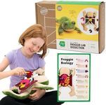 KiwiCo - Froggie Lab Dissection, Biology Science Learning Toy for Kids, Ages 3+