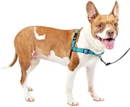 PetSafe Easy Walk Deluxe Dog Harness, No Pull Dog Harness – Perfect for Leash & Harness Training – Stops Pets from Pulling and Choking on Walks – Medium, Ocean