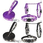XLSXEXCL 2 Pack Cat Harness and Lea