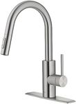 Kraus Kitchen Faucet (Chrome)