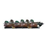 Avian-X 8084 Topflight Wigeon Decoys, 6 Pack, Multi