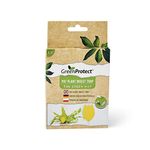 Green Protect Pot Plant Insect Traps - Yellow Dual Sided Sticky Fly Trap for Plant Insect Like Flying Aphid, Whiteflies, Leafminers, Other Flying Plant Insect - Pack of 10