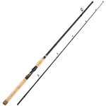 Saltwater Spinning Rods