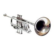 Sai Musical Shreyas Nickel Plated BB Trumpet with MP