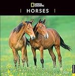 National Geographic: Horses 2024 Wa
