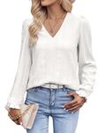 Tanmolo White Womens Blouses and Tops Dressy V-Neck Puff Long Sleeve Eyelet Plus Size Tops Business Casual Shirts 2XL