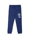 U.S. POLO ASSN. Boy's Regular Fit Joggers (UKTRKON0007EXS_Royal Blue_4 5 Years)