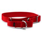 PetSafe Martingale Dog Collar Medium, 1 Inch, Red