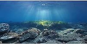 AWERT Ocean Floor Fish Tank Backgro