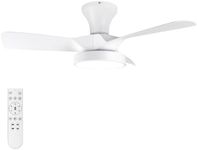 Soilsiu Ceiling Fans with Lights Re