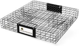 Rugged Ranch Squirrel Trap, Live An