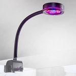 Pico Refugium LED Light Marine Addict