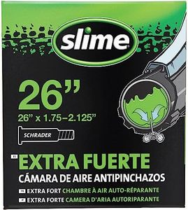 Slime 3005