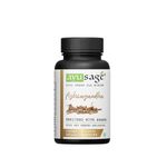 Ayusage Ashwagandha Enriched With Brahmi, Vegan Dietry Supplememnt (30 Capsules)