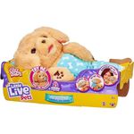 Little Live Pets Charlie Cozy Dozys Puppy interactive cuddly dog toy with sounds, bedtime cuddles, pacifier blanket included.