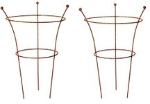 RUDDINGS WOOD Set of 2 x Natural Rust Metal 3 Leg Large Herbaceous Peony Plants Support Rings (79cm high x 50cm diameter) Garden Rusted Flower Plant Grow Through Cage Frames