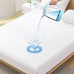 King Premium Waterproof Mattress Pr