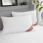 GC GAVENO CAVAILIA Duck Feather Pillows 2 Pack, Comfy Hotel Quality Pillow Pair, Washable Head Support Down Pillow, White, (50x70 cm)