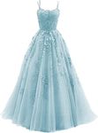 Lace Appliques Prom Dresses Long Tulle Ball Gowns Backless A-Line, Baby Blue, 24