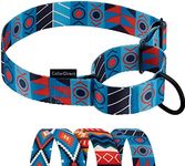 CollarDirect Aztec Martingale Collars for Dogs Heavy Duty Tribal Pattern Safety Nylon Training Collar Large Medium Small (Blue Ethnic, XL, Neck Size 19"-24")