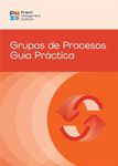 Process Groups: A Practice Guide (SPANISH)