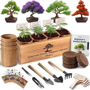Avergo Bonsai Tree Kit – 4X Unique Japanese Bonzai Trees | Complete Indoor Starter Kit for Growing Bonsai Plants with Tools & Planters – Gardening Gifts for Women & Men