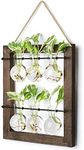 Mkono Double Layer Wall Hanging Glass Planter Propagate Station, Modern Novel Flower Bulb Vase Plant Terrarium with Retro Wooden Stand for Hydroponics Plants Home Garden Office Decor, 6 Bulb Vase