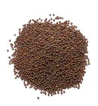 Brown Mustard Seeds - 1.5kg