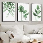 MPLONG 3 Piece Frames Green Plant Canvas Decoration Painting - Photos Wall Art Decoration Painting Oil Painting Suitable for Living Room Bedroom Office and Other Wall Decoration Size 16x24 In