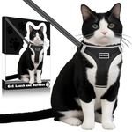 LdevotionR Cat Leash and Harness Cat Harness and Leash Escape Proof for Walking Travel Outdoor Soft Adjustable Vest Harnesses Cat Harness Escape Proof for Small Medium Large Cats, Kitten(Black - L)